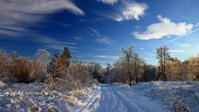 Скачать обои зима, снег, деревья, ночь, парк, фонарь, лавка, раздел природа  в разрешении 1366x768