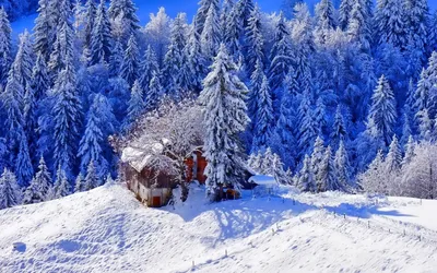 Скачать обои на рабочий стол бесплатно без регистрации в формате 1366x768.  Зимний холм. Природа, зима, холм, дерево.