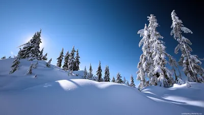 Фото Зима Природа сезон года 1366x768