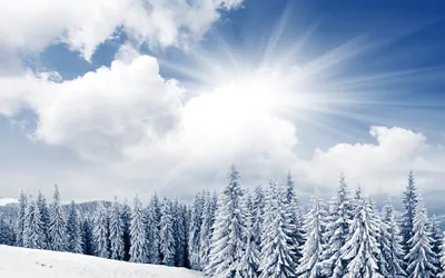 Картинки Природа, зима, солнце, горы, дерево, снег - обои 1366x768,  картинка №31370