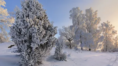 Зима холода (55 фото) - 55 фото