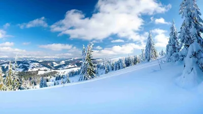 Скачать обои зима, лес, небо, облака, снег, пейзаж, горы, следы, раздел  пейзажи в разрешении 1366x768
