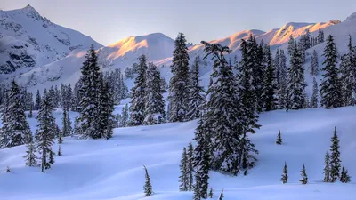 Скачать обои и картинки пейзаж, зима, снег, река, солнце, лучи, небо,  деревья, тучи для рабочего стола в разрешении 1366x768