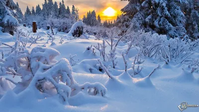 Скачать обои Зима, Природа, Дорожка, Снег в разрешении 1366x768 на рабочий  стол