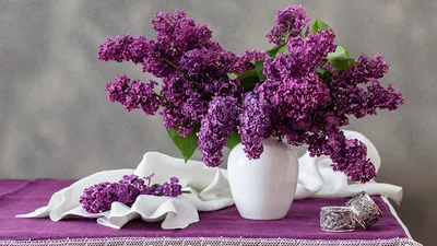 Фото Цветы Сирень вазе Стол ветвь 1366x768