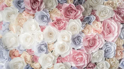 Обои Роза, цветок, сад роз, срезанные цветы, розовый HD ready бесплатно,  заставка 1366x768 - скачать картинки и фото