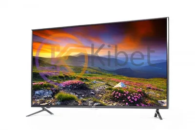 Монитор LCD 39,6 cm (15.6\") 16:9 1366х768(WXGA) TN, GLARE,60 Гц, 220 cd/m,  H90°/V60°, 500:1, 20M:1, 4ms, VGA, DVI, 1.4, 1.2, USB-Hub, Tilt, Speakers,  3Y, Black купить, цена на Монитор LCD 39,6 cm (