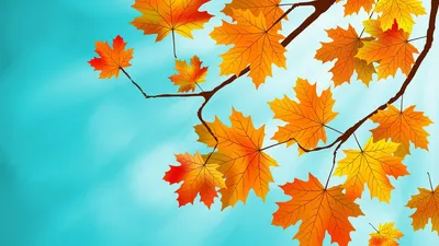 Обои осень, Эйфелева башня, кленовые листья. Фото осень 1366x768 на телефон.