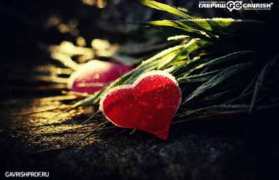 14 февраля - День всех влюбленных: три легенды появления праздника