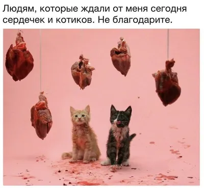 https://edagda.ru/samara/article/zhizn-udalas-anonsiroval-romantichnoe-14-e-fevralya