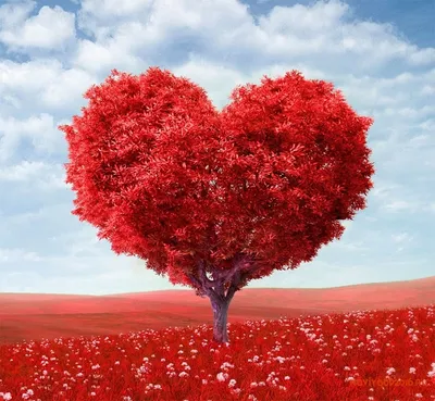 Psy Center - Приближается 14 февраля. День всех влюблённых или День Святого  Валентина. Для людей, которые воспринимают этот праздник как маркетинговую  приманку, 14 февраля означает, что осталось две недели до весны. Для
