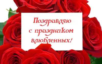14 февраля: день святого Валентина. При чём тут коты и мыши? - Новости  Белгорода
