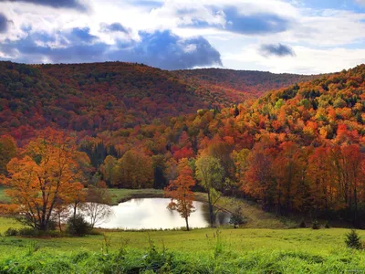 Вермонт, Америка, озеро, осень, пейзажи, природа 1600х1200 - Обои для  рабочего стола. Wallpapers | Vermont, Beautiful nature wallpaper, Natural  landmarks
