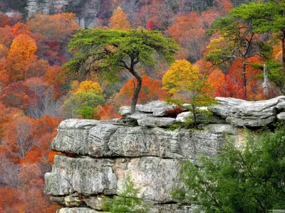 Осень в горах, горы, лес, осень, пейзажи, природа 1600х1200 - Обои для  рабочего стола. Wallpapers | Beautiful park, Nature trail, Nature