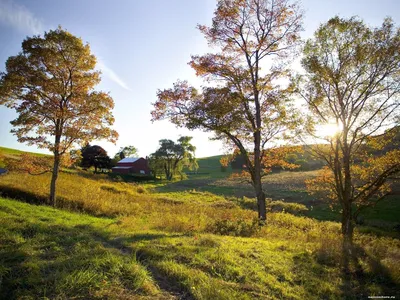 Золотые лучи на ферме в Огайо, Америка, зеленое, осень, пейзажи, природа  1600х1200 - Обои для рабоч… | Countryside wallpaper, Landscape wallpaper,  Scenery wallpaper