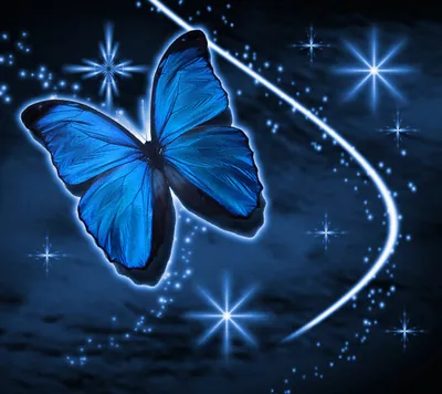 Blue Butterfly With Stars Background 1800x1600 Background Image, Wallpaper  or Texture free for any web page, desktop, phone or blog