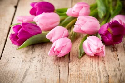 Скачать обои цветы, пинк, букет, тюльпаны, розовые разрешение 5328x3552  #130740