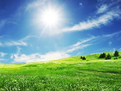 Скачать обои и картинки пейзаж, поле, трава, небо, солнце, облака для  рабочего стола в разрешении 2048x1536
