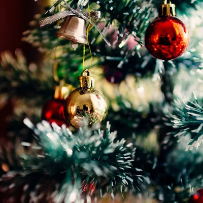 Католическое Рождество 25 декабря 2023: традиции и символы праздника, как  отмечают - vtomske.ru