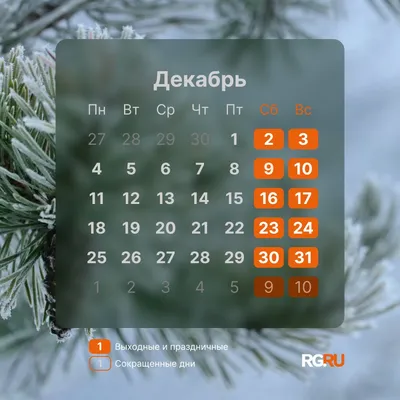 Какой сегодня праздник: 30 декабря - 30.12.2021, Sputnik Казахстан