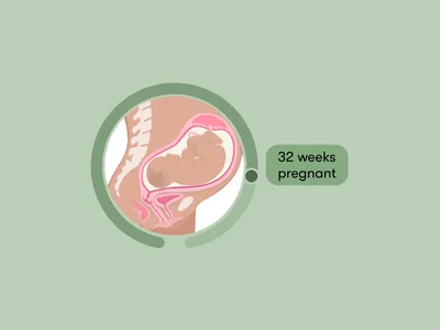 32 Weeks Pregnant: Symptoms, Tips, and More