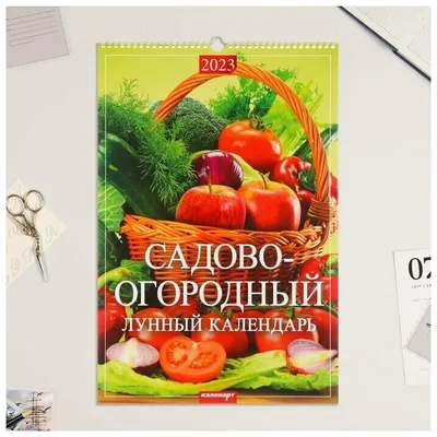 Купить календарь перекидной на ригеле Символ 2023 год, 320х480 мм, цены на  Мегамаркет | Артикул: 100045722427