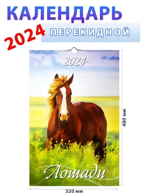 Календарь настенный на 2024 год \"Лошади\", 320х480 мм - купить с доставкой  по выгодным ценам в интернет-магазине OZON (1015261471)