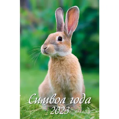 Купить Календарь перекидной на ригеле ′Очарование природы′ 2022 год, 320х480  мм в Донецке | Vlarni-land - товары из РФ в ДНР