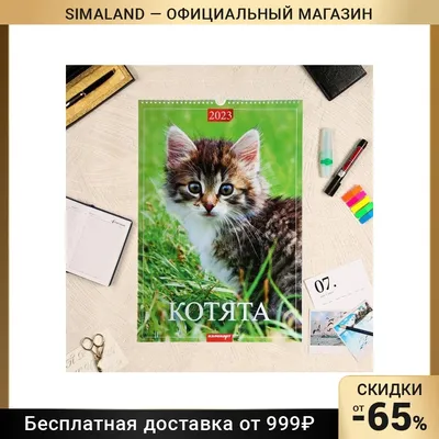 Купить календарь настенный перекидной Мадонна в живописи 2023 год с ригелем  320х480 мм, цены в Москве на Мегамаркет | Артикул: 100045360991