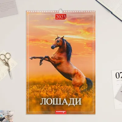 Календарь 2023 1-блочный 320х480 Гребень+ригель 6л Прогулки по Европе  АТБЕРГ 0523046 - купить с доставкой по низким ценам | Интернет-магазин  Fkniga.ru