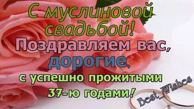 37 Лет Свадьбы Поздравление с Муслиновая Свадьбой с Годовщиной Красивая  Прикольная Открытка в Стихах - YouTube