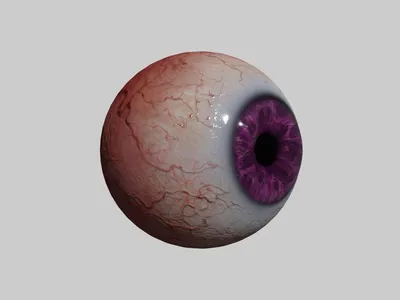 глаз 3D Модель $5 - .blend - Free3D