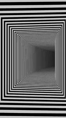 Оптическая иллюзия Оптика Зрительное восприятие Spinning Dancer, глаз 3d,  текстиль, другие, симметрия png | Klipartz