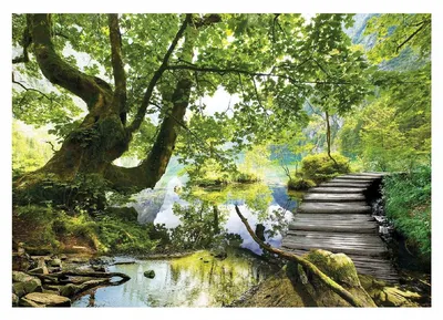 Красивая нетронутая природа с чистой рекой 3d проиллюстрировано | Премиум  Фото