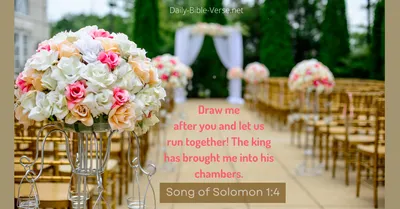 Daily Bible Verse | Love | Song of Solomon 1:4 (NASB)