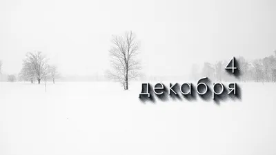 4 декабря: какой сегодня праздник? - 7Дней.ру