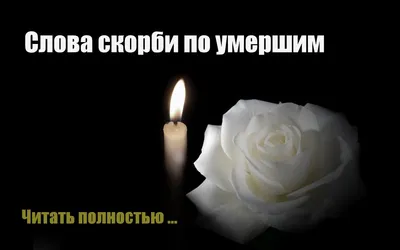 40 дней после смерти доктора Зотова - видео от друзей