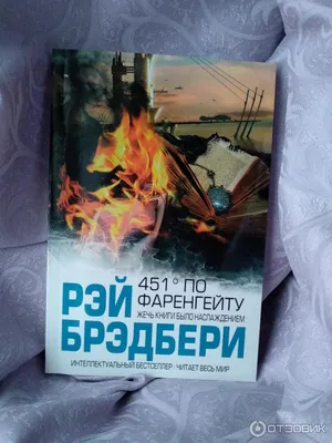 451 градус по Фаренгейту (ил. А. Симанчука) | Брэдбери Рэй - купить с  доставкой по выгодным ценам в интернет-магазине OZON (774945995)