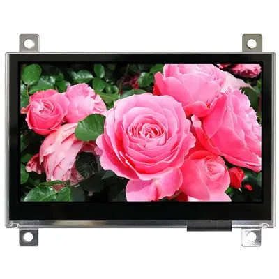480x272 hot selling winstar pcap touch| Alibaba.com
