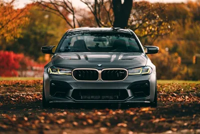 Обои на рабочий стол Автомобиль BMW M5 SC серого цвета стоит на фоне  осеннего леса и опавшей листвы, обои для рабочего стола, скачать обои, обои  бесплатно