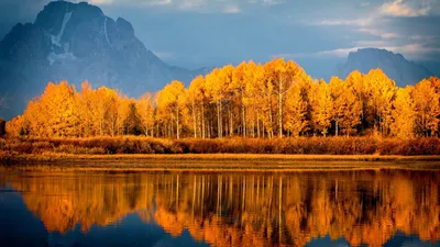 Обои осень, отражение, природа, дерево, гора 4K Ultra HD бесплатно,  заставка 3840x2160 - скачать картинки и фото