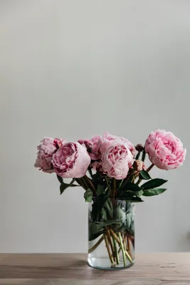 Скачать 800x1200 пионы, цветы, букет, розовый, ваза обои, картинки iphone  4s/4 for parallax
