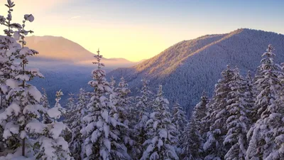 Обои 4к Зима (3840×2160) – Заснеженные ели зимой в горах