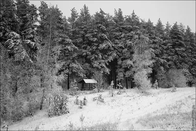 Скачать 1152x864 дом, лес, деревья, снег, зима обои, картинки стандарт 4:3