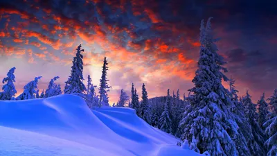 Обои лес, зима, forest, snow, winter, sunrise, clouds, 8k, Природа #17357 -  Страница 4