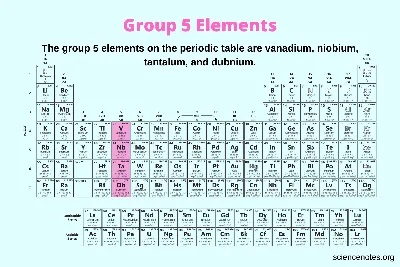Basics of the Five Elements - Take the Quiz to Learn Your Element