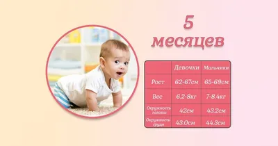 Идея для фото ребенка по месяцам, мальчик 5 месяцев, 5 месяцев, 5, месячные  фото ребенка | Baby onesies, Onesies, Kids