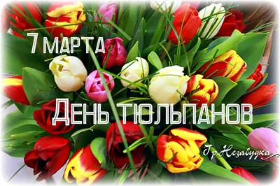 7 Марта — праздник весны и цветов в МОСТ-сити - Днепр Инфо