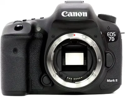 Фотоаппарат Canon EOS 7D Mark II Body купить в интернет-магазине, цены –  Shop.by