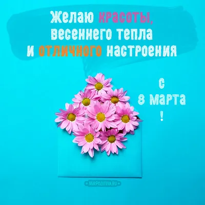 Видео 8 марта международный женский день 🌼 Прикольные поздравления с 8  марта, птица сокол — Видео@Mail.Ru